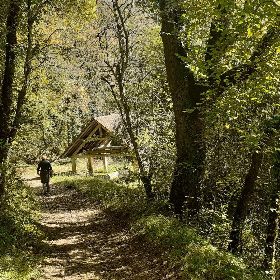 Le Manoir De Carlucet Gite Saint-Crépin-et-Carlucet 외부 사진